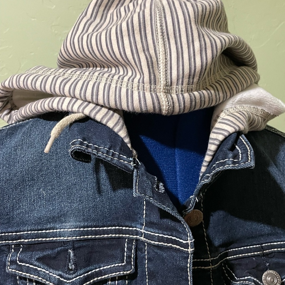 Jacket - Picture 2 of 8